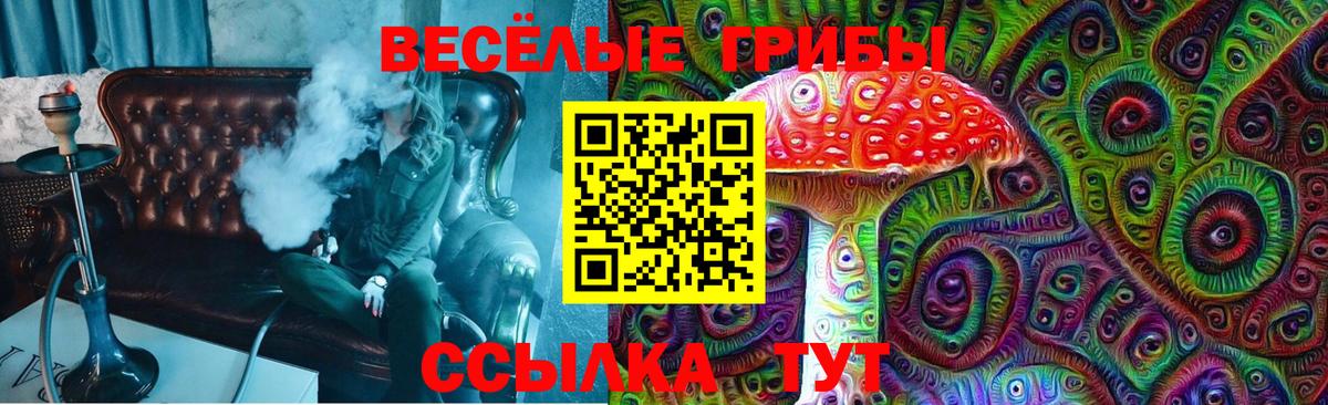 Изобильный  Галлюциногенные грибы Psilocybe  где найти   Псилоцибиновые грибы мухоморы  Вход с VPN 